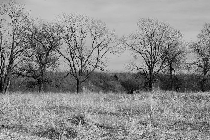 gal/2009-04-10 Oshawa/IMGP7450_bw.jpg